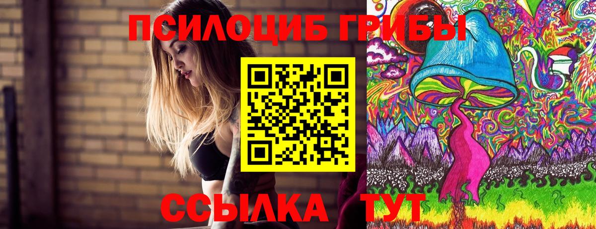 Псилоцибиновые грибы GOLDEN TEACHER Нарткала