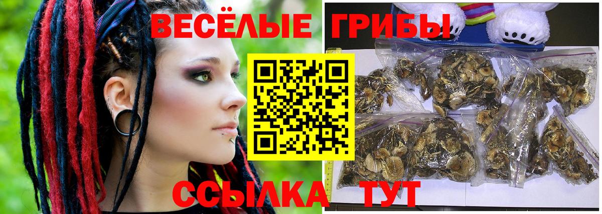 Псилоцибиновые грибы Psilocybine cubensis  Вход с VPN  Нарткала  Галлюциногенные грибы Cubensis 